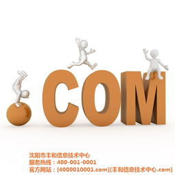 豐和信息技術中心 遼源市網絡推廣與高清圖片經濟信息咨詢的專業(yè)引領者