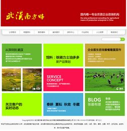 定制網(wǎng)站建設(shè)與企業(yè)營(yíng)銷(xiāo)策劃的融合之道 以武漢南方略與騰飛立仁為例